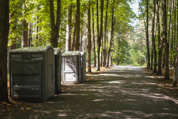 Best High-end porta potty rental  in White Mountain Lake, AZ